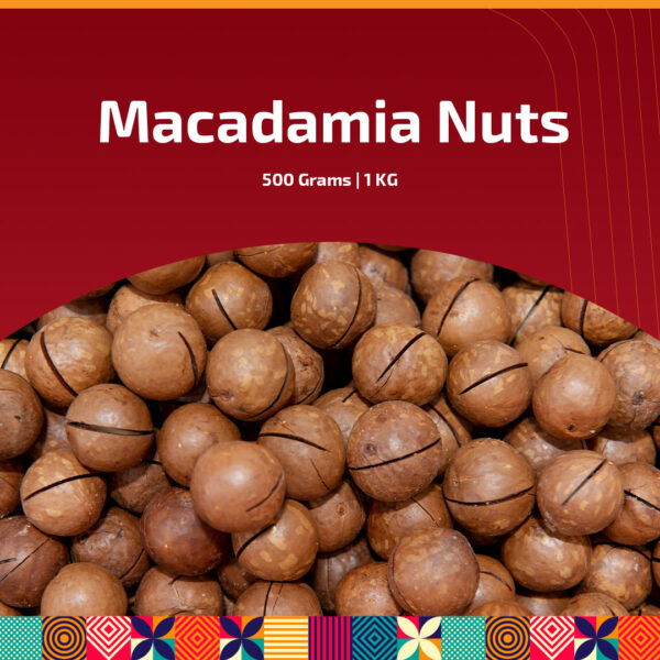Roasted Macadamia Nuts - Buy Chabi Wala Akhrot